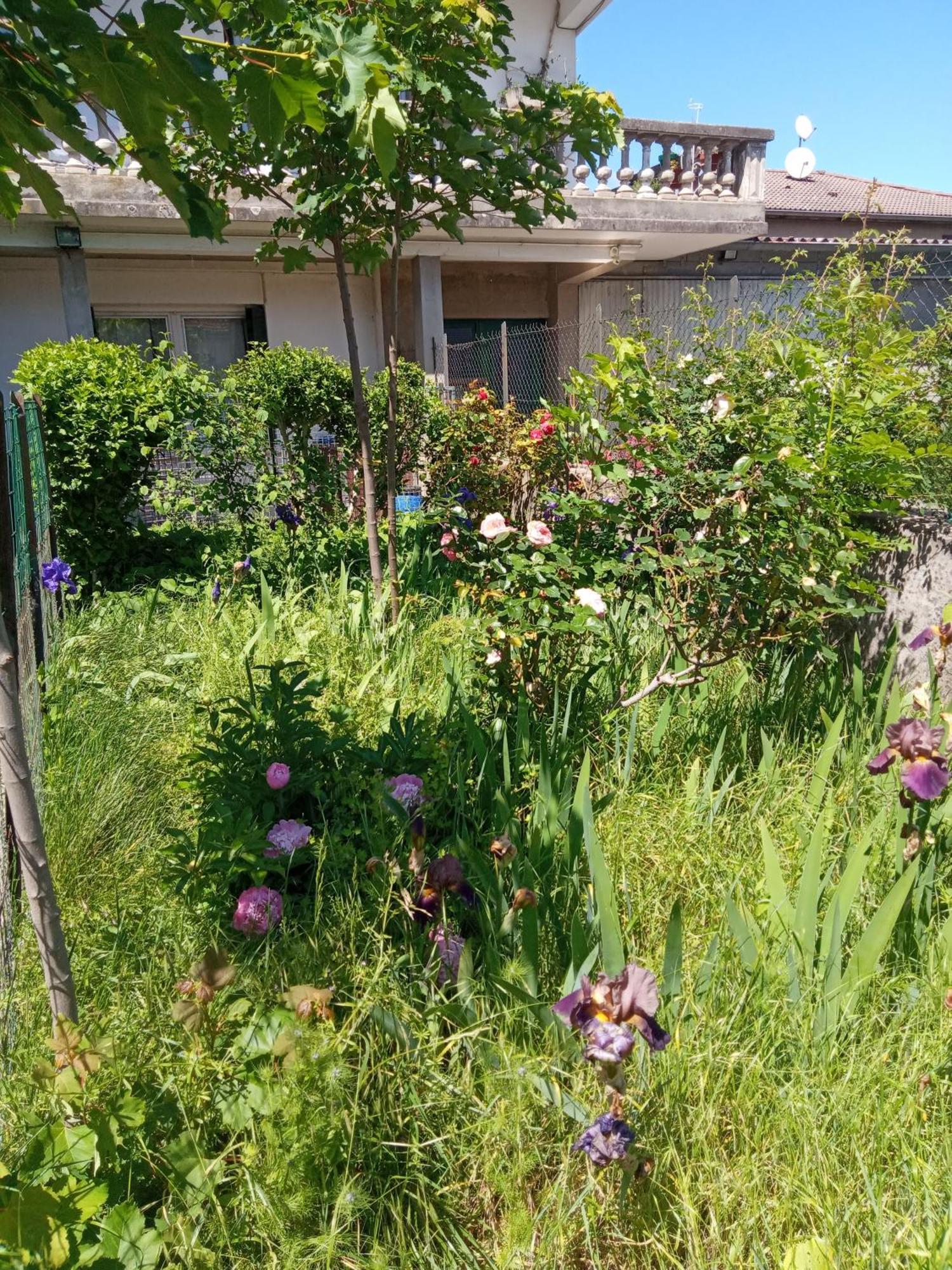 Rosalie Cottage Beaurepaire  Exterior photo